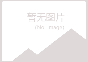 阳泉夏岚计算机有限公司